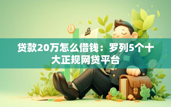 贷款20万怎么借钱：罗列5个十大正规网贷平台
