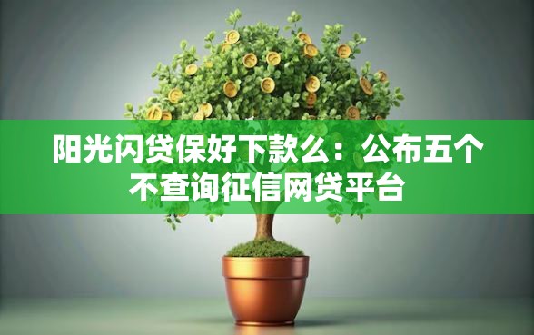 阳光闪贷保好下款么：公布五个不查询征信网贷平台