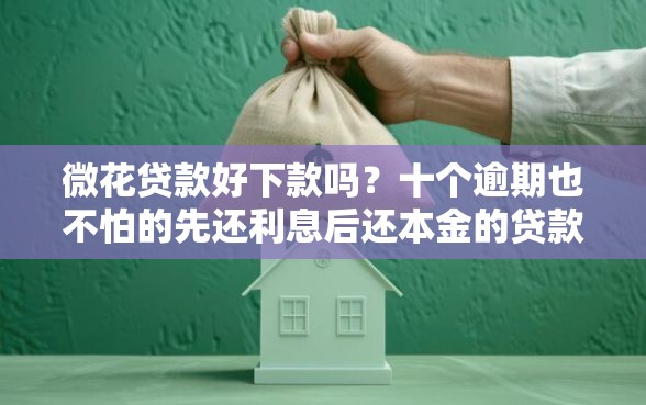 微花贷款好下款吗？十个逾期也不怕的先还利息后还本金的贷款平台