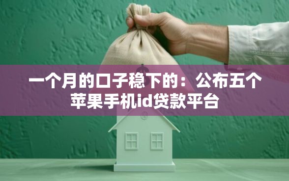 一个月的口子稳下的：公布五个苹果手机id贷款平台
