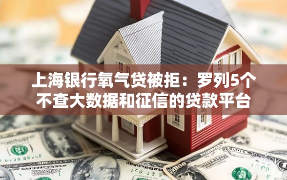 上海银行氧气贷被拒：罗列5个不查大数据和征信的贷款平台
