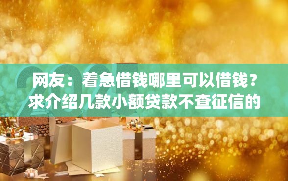 网友：着急借钱哪里可以借钱？求介绍几款小额贷款不查征信的app