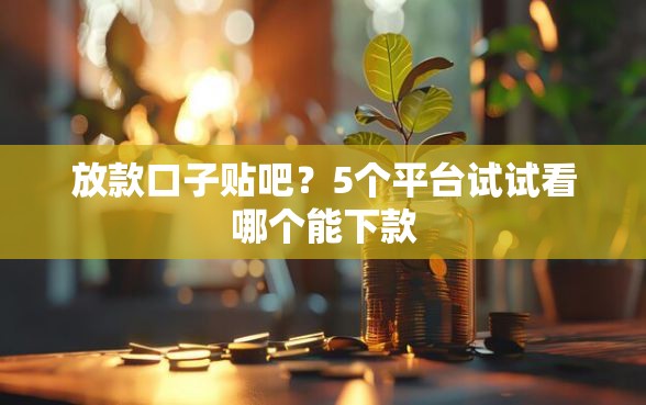 放款口子贴吧？5个平台试试看哪个能下款