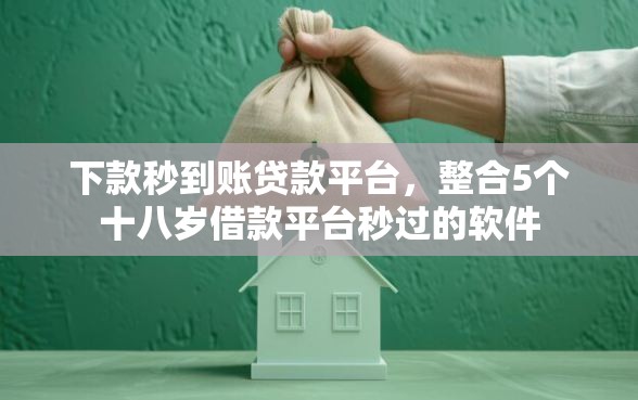 下款秒到账贷款平台，整合5个十八岁借款平台秒过的软件