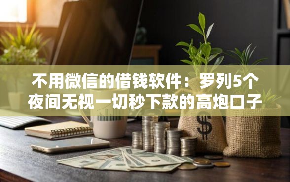 不用微信的借钱软件：罗列5个夜间无视一切秒下款的高炮口子