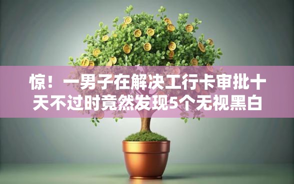 惊！一男子在解决工行卡审批十天不过时竟然发现5个无视黑白下款8000左右的口子，事后分享了出来