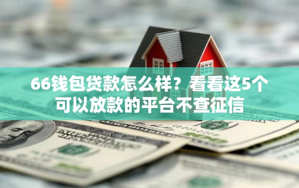 66钱包贷款怎么样？看看这5个可以放款的平台不查征信