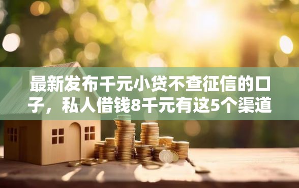 最新发布千元小贷不查征信的口子，私人借钱8千元有这5个渠道