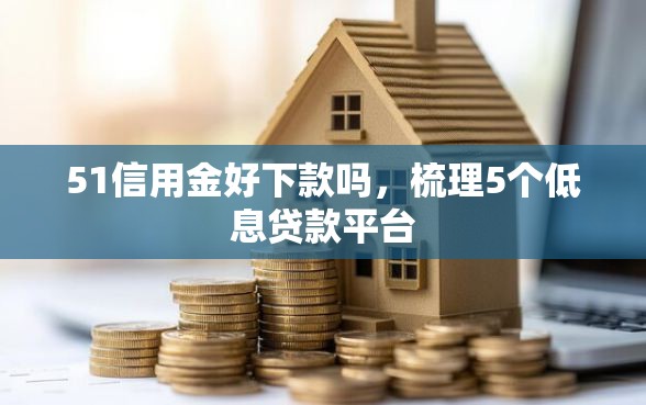 51信用金好下款吗，梳理5个低息贷款平台