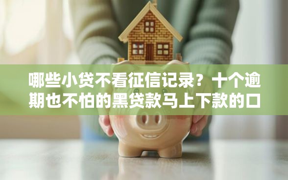哪些小贷不看征信记录？十个逾期也不怕的黑贷款马上下款的口子