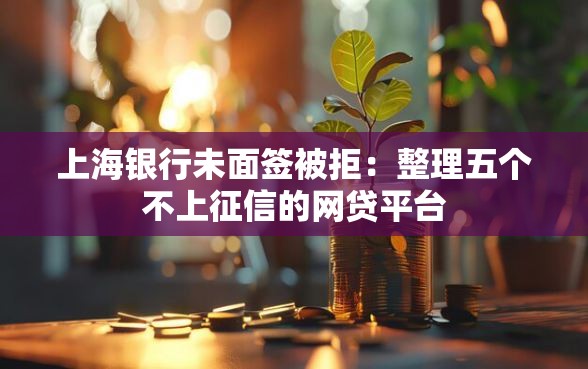 上海银行未面签被拒：整理五个不上征信的网贷平台
