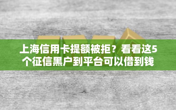上海信用卡提额被拒？看看这5个征信黑户到平台可以借到钱