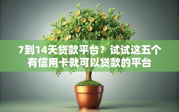 7到14天贷款平台？试试这五个有信用卡就可以贷款的平台