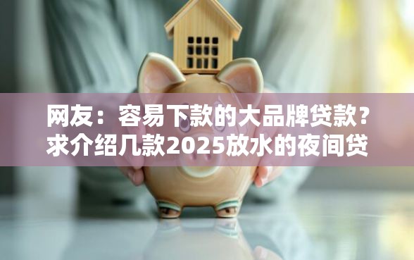 网友：容易下款的大品牌贷款？求介绍几款2025放水的夜间贷款口子