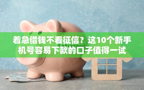 着急借钱不看征信？这10个新手机号容易下款的口子值得一试