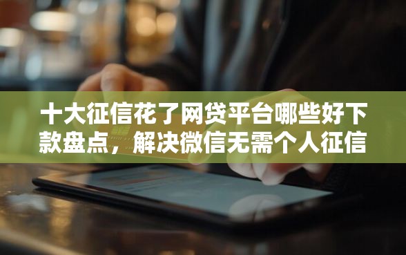 十大征信花了网贷平台哪些好下款盘点，解决微信无需个人征信的借钱的问题