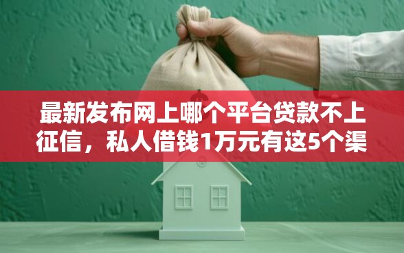 最新发布网上哪个平台贷款不上征信，私人借钱1万元有这5个渠道
