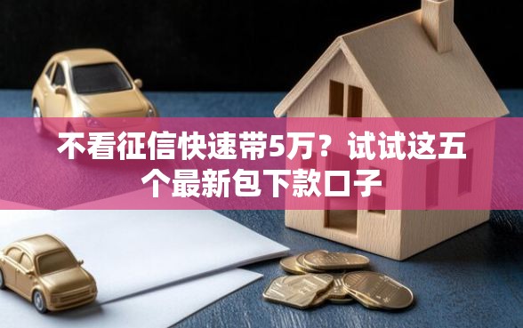 不看征信快速带5万？试试这五个最新包下款口子