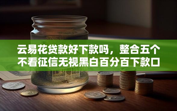云易花贷款好下款吗，整合五个不看征信无视黑白百分百下款口子