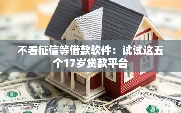 不看征信等借款软件：试试这五个17岁贷款平台
