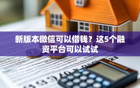 新版本微信可以借钱？这5个融资平台可以试试