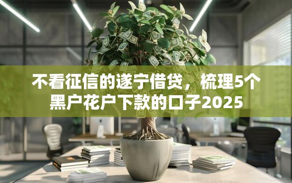 不看征信的遂宁借贷，梳理5个黑户花户下款的口子2025