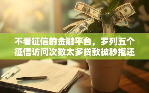 不看征信的金融平台，罗列五个征信访问次数太多贷款被秒拒还能在平台借款