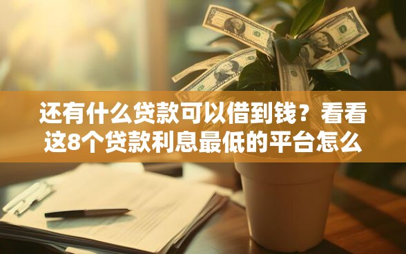 还有什么贷款可以借到钱？看看这8个贷款利息最低的平台怎么样