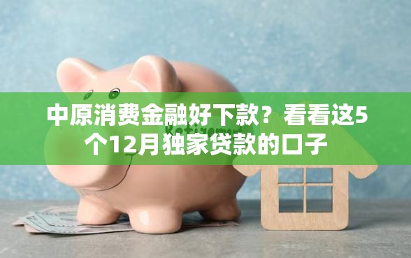 中原消费金融好下款？看看这5个12月独家贷款的口子
