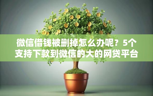 微信借钱被删掉怎么办呢？5个支持下款到微信的大的网贷平台