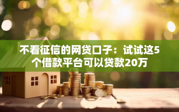 不看征信的网贷口子：试试这5个借款平台可以贷款20万