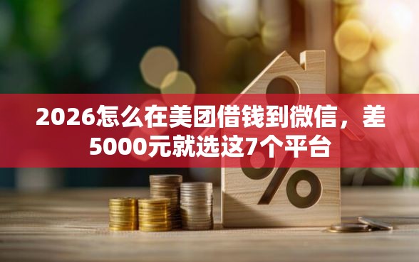 2026怎么在美团借钱到微信，差5000元就选这7个平台