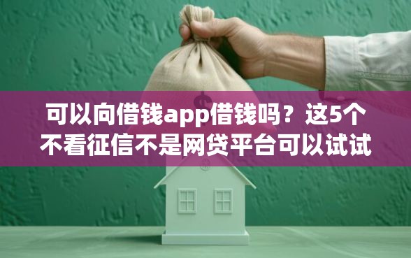 可以向借钱app借钱吗?这5个不看征信不是网贷平台可以试试 可以向借钱app借钱吗?这5个不看征信不是网贷平台可以试试