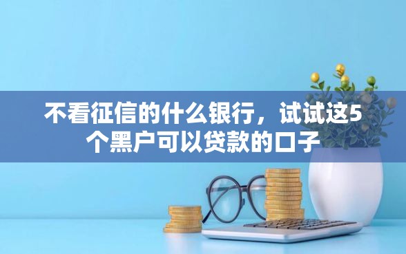 不看征信的什么银行，试试这5个黑户可以贷款的口子