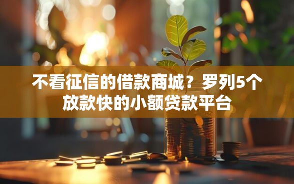 不看征信的借款商城？罗列5个放款快的小额贷款平台