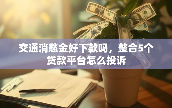 交通消愁金好下款吗，整合5个贷款平台怎么投诉