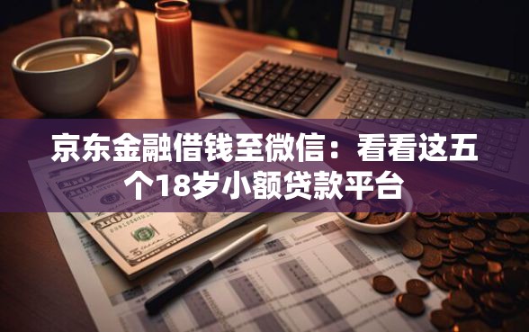 京东金融借钱至微信：看看这五个18岁小额贷款平台