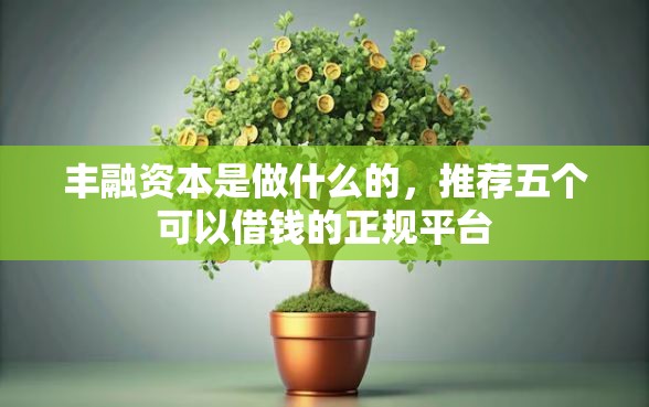 丰融资本是做什么的，推荐五个可以借钱的正规平台