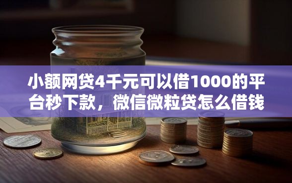 小额网贷4千元可以借1000的平台秒下款，微信微粒贷怎么借钱失败的5个平台介绍