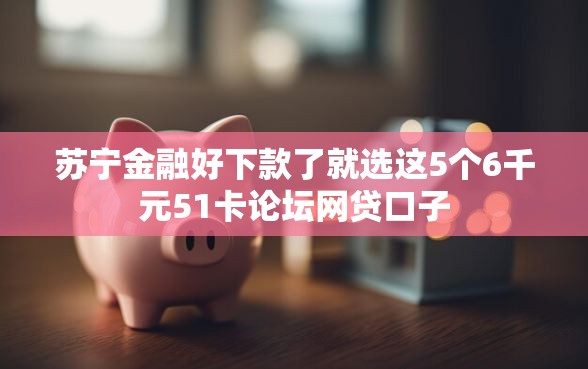苏宁金融好下款了就选这5个6千元51卡论坛网贷口子