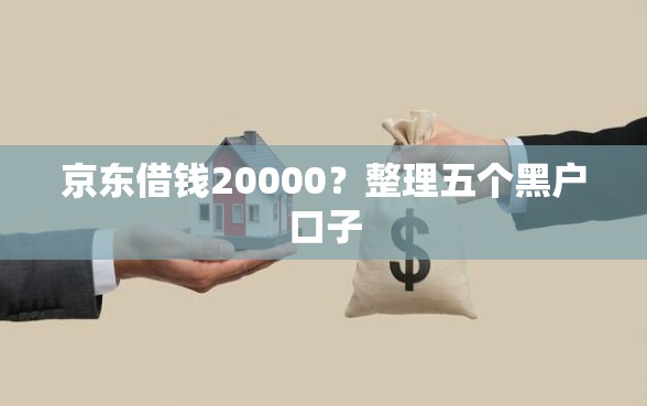 京东借钱20000？整理五个黑户口子