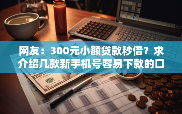 网友：300元小额贷款秒借？求介绍几款新手机号容易下款的口子