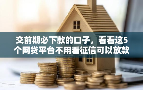 交前期必下款的口子，看看这5个网贷平台不用看征信可以放款的