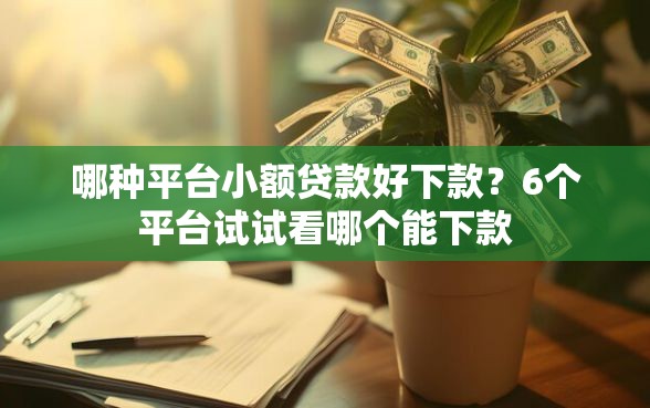 哪种平台小额贷款好下款？6个平台试试看哪个能下款