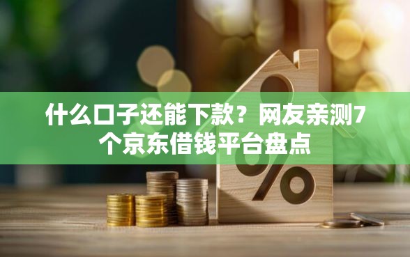 什么口子还能下款？网友亲测7个京东借钱平台盘点