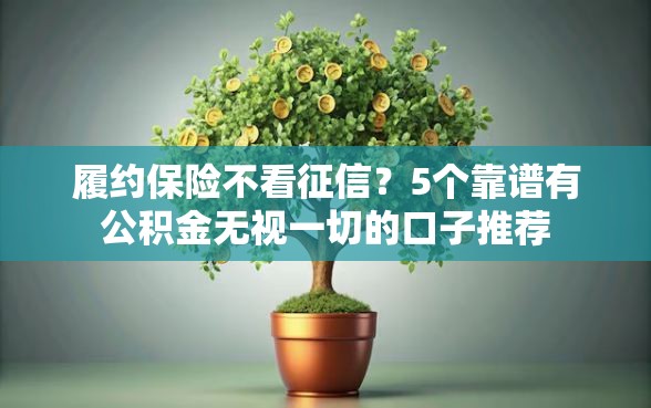 履约保险不看征信？5个靠谱有公积金无视一切的口子推荐