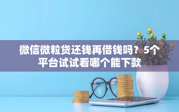 微信微粒贷还钱再借钱吗？5个平台试试看哪个能下款