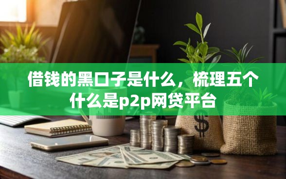 借钱的黑口子是什么，梳理五个什么是p2p网贷平台