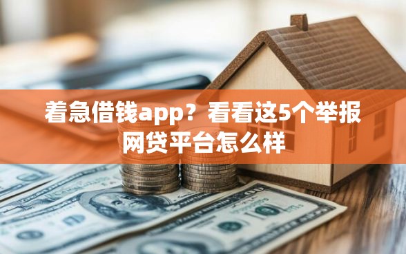 着急借钱app？看看这5个举报网贷平台怎么样