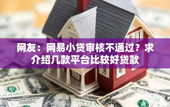 网友：网易小贷审核不通过？求介绍几款平台比较好贷款